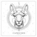 Modern magic witchcraft card with astrology Capricorn zodiac sign. Realistic hand drawing ram or mouflon head