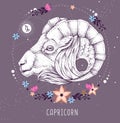 Modern magic witchcraft card with astrology Capricorn zodiac sign. Realistic hand drawing ram or mouflon head Royalty Free Stock Photo