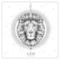 Modern magic witchcraft card with astrology Leo zodiac sign. Realistic hand drawing lion head