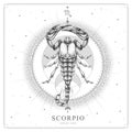 Modern magic witchcraft card with astrology Scorpio zodiac sign. Realistic hand drawing scorpion illustration