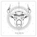 Modern magic witchcraft card with astrology Taurus zodiac sign. Realistic hand drawing bull head