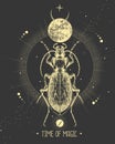 Modern magic witchcraft card with moon and ground beetle. Hand drawing occult illustration Royalty Free Stock Photo