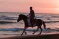 A modern man in summer clothes enjoys riding a horse on a beautiful sandy beach at sunset. Selective focus Royalty Free Stock Photo