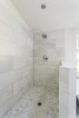 Modern marble tile walk-in shower