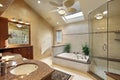 Modern master bath with skylight