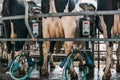 Modern mechanised milking equipment