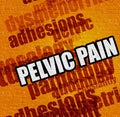 Modern medicine concept: Pelvic Pain .