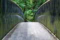 A view of a foot bridge in a forest Royalty Free Stock Photo