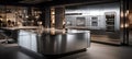 Modern metallic kitchen with smart appliances