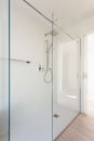 Modern minimal elegant bathroom, wide shower