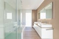 Modern minimal elegant bathroom. Nobody inside.