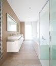 Modern minimal elegant bathroom