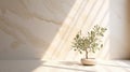 Modern minimal empty white marble stone counter table, green tree in sunlight, leaf shadow on beige brown wall background for Royalty Free Stock Photo