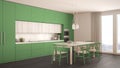 Modern minimal green kitchen with wooden floor, classic interior