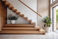 Modern minimal hallway with wooden staircase in private house with tall windows