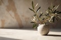 Modern minimal matte countertop, olive wood in sunlight.