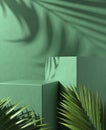 Modern Minimal Step Green Podium With Palm Leaf And Sunlight Shadow On Concrete Wall Background 3d Render