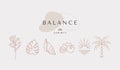 Modern minimal summer logo template with sea shell, palm tree linear icon and emblem for social media, accommodation