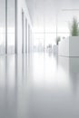 Modern minimal white office interior background, empty hall, bright light from windows Royalty Free Stock Photo