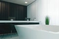 Modern minimalist bathroom with black and white decor and freestanding tub Royalty Free Stock Photo