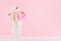 Modern minimalist bouquet of ranunculus in exquisite white frosted glass vase on white wood table and pastel pink color background