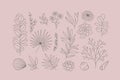 Modern minimalist exotic floral elements collection. Outlined leaves and flowers. Vector illustrations