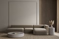 Modern minimalist gray, beige interior with sofa, wall moldings, carpet and decor.