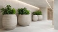 Modern minimalist hallway with large ceramic planters and lush green plants, illuminated by soft lighting creating a serene