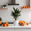 Stylish white quartz countertop with potted plant and oranges