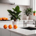 Stylish white quartz countertop with potted plant and oranges