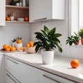 Stylish white quartz countertop with potted plant and oranges