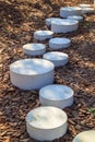 modern minimalist path of round stones in the Park leading on the ground mulched bark of trees Royalty Free Stock Photo