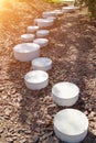 modern minimalist path of round stones in park leading on ground mulched bark of trees Royalty Free Stock Photo