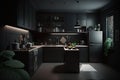 Modern minimalistic dark styled kitchen Royalty Free Stock Photo