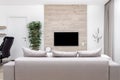 Modern minimalistic luxury apartment with couch and pillows and flat-screen lcd TV on the wooden wall, vase and plant