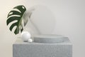 Modern Mockup Luxury Podium Natural With Monstera Plant And Glass Abstract Background 3d Render
