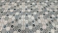 Geometric Hexagon Floor Tiles with Floral Pattern Royalty Free Stock Photo