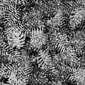 Modern monotone black and white leaves with foliage pattern background