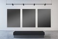 Modern museum or exhibition hall interior with blank black mock up frames on concrete wall and bench. Royalty Free Stock Photo
