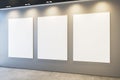 Modern museum or exhibition hall interior with illuminated empty white mock up frames on concrete wall. Royalty Free Stock Photo