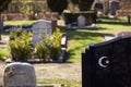 Modern muslim cemetary with focus on one gravestone with muslim symbol