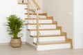 Modern natural ash tree wooden stairs in new house interior Royalty Free Stock Photo