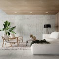 Modern natural interior design of living room with white sofa and empty concrete wall background.