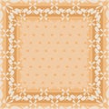 Netrivail abstract floral geometric pattern, background, frame Royalty Free Stock Photo