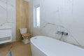 Modern new bathroom interior with bath tub and toilet seat Royalty Free Stock Photo