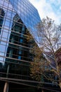 Modern Office Building With Coloured Reflective Glass Cladding Victoria Street London No People