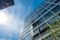 Modern Office Buildings with Steel Glass Windows, Green Plant, Blue Sky, Reflections Royalty Free Stock Photo