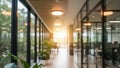 Modern office corridor with natural light Royalty Free Stock Photo