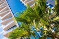 Modern office or hotel building with a mirrored blue facade surrounded by palm trees Royalty Free Stock Photo