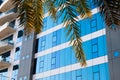 Modern office or hotel building with a mirrored blue facade surrounded by palm trees Royalty Free Stock Photo